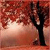 1357.gif